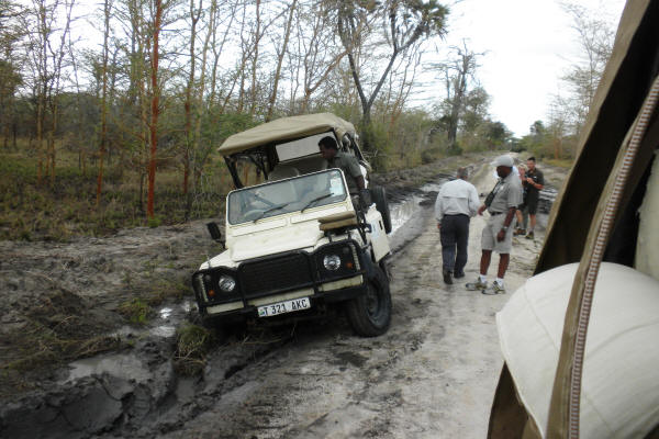 Stuck in the Mud