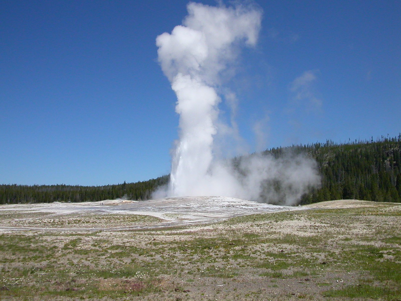Old Faithful