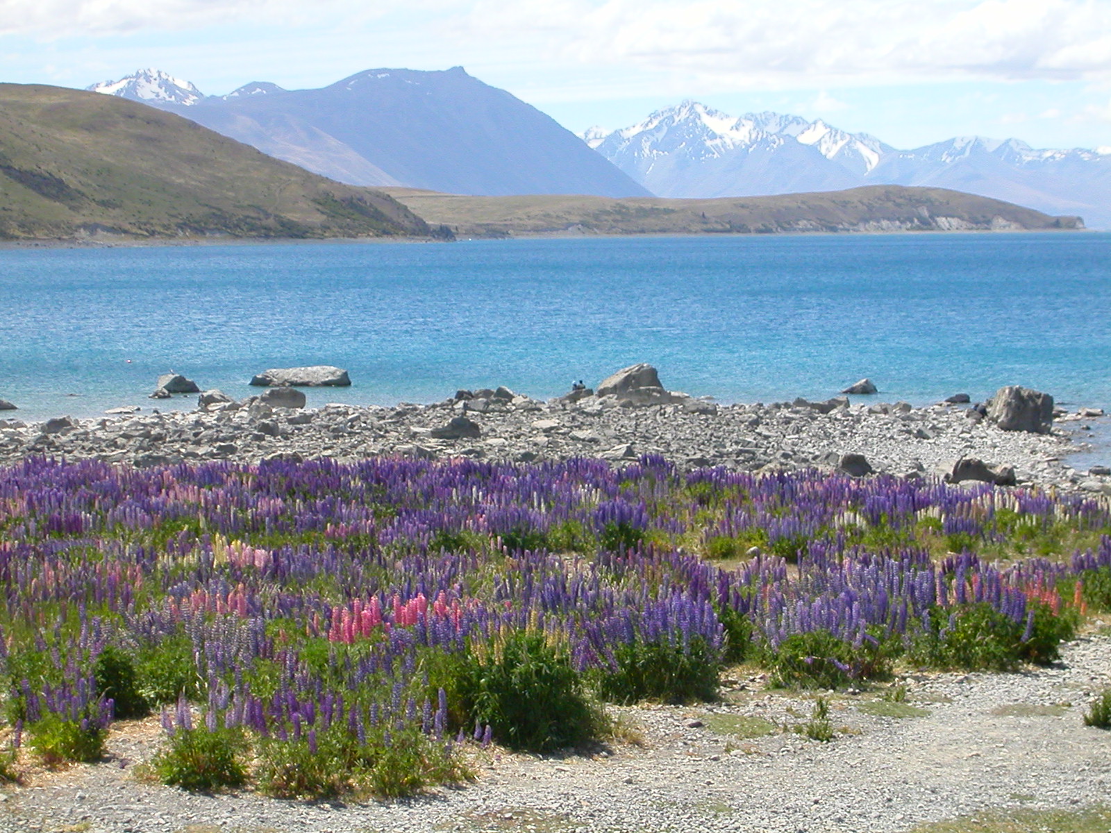 New Zealand, Lake Tecapo