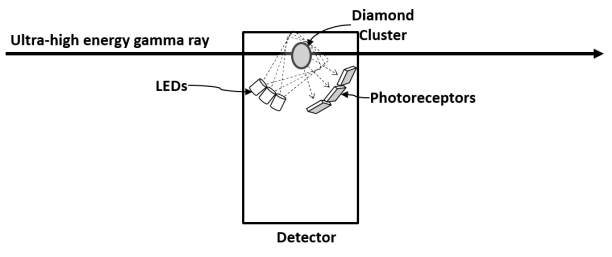detector